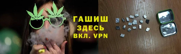 хмурый Абаза