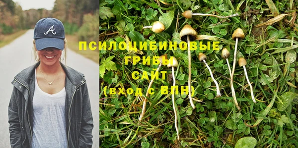 spice Алексин