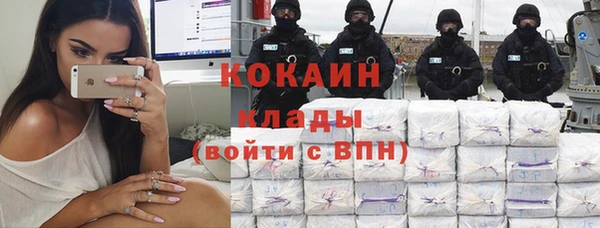 хмурый Абаза