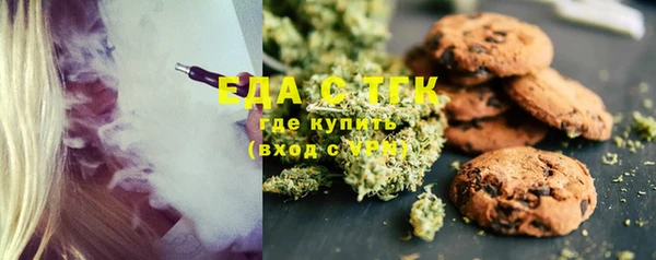 хмурый Абаза