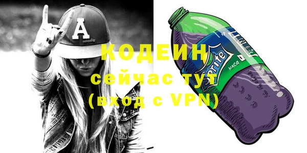 молекула духа Няндома