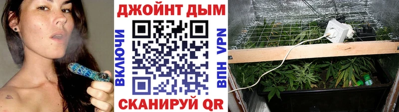 mega зеркало  Торжок  Каннабис ГИДРОПОН 